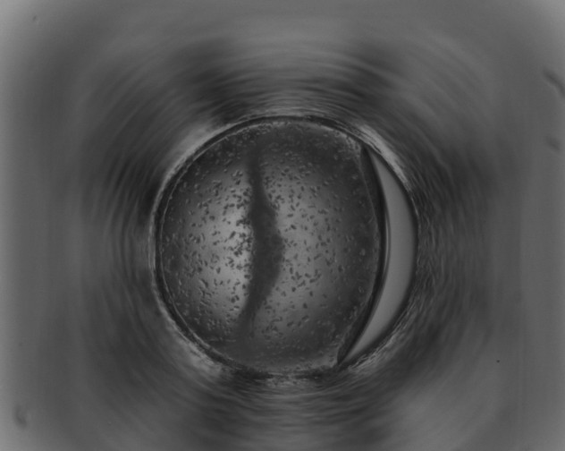 X0000092280795200710041410