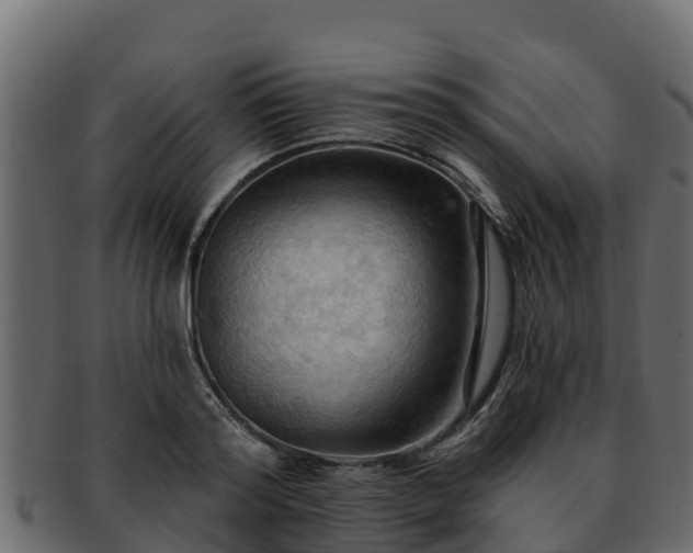 X0000092280796200710041410