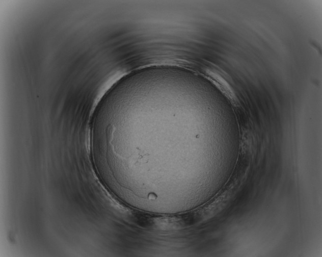 X0000092280804200710041410