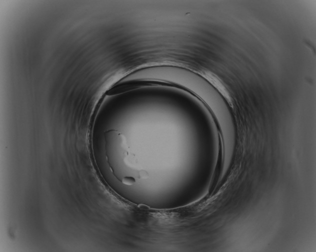 X0000092280805200710041410