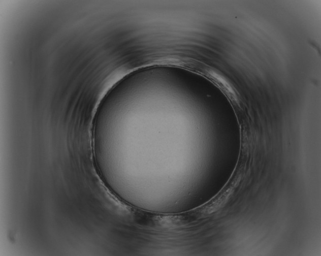 X0000092280808200710041410