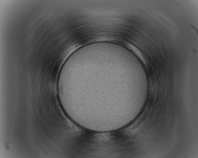 X0000092280810200710041409