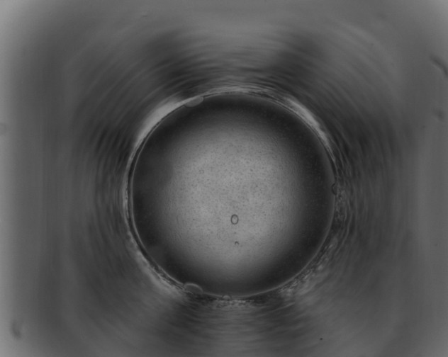 X0000092280811200710041409