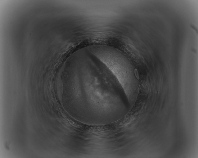 X0000092280817200710041409