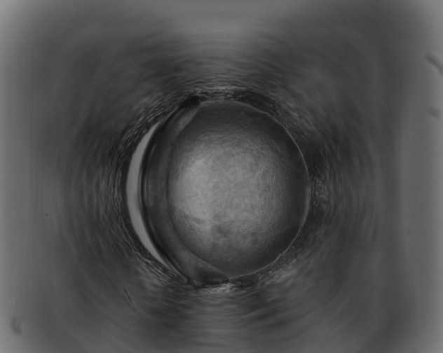 X0000092280818200710041409