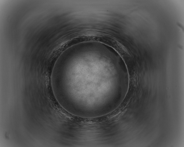 X0000092280821200710041409