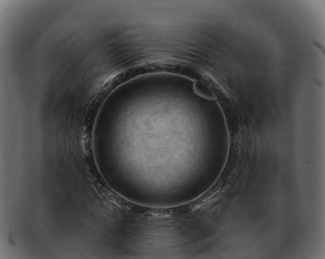 X0000092280822200710041409