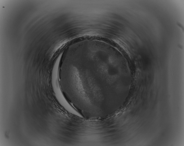 X0000092280823200710041409