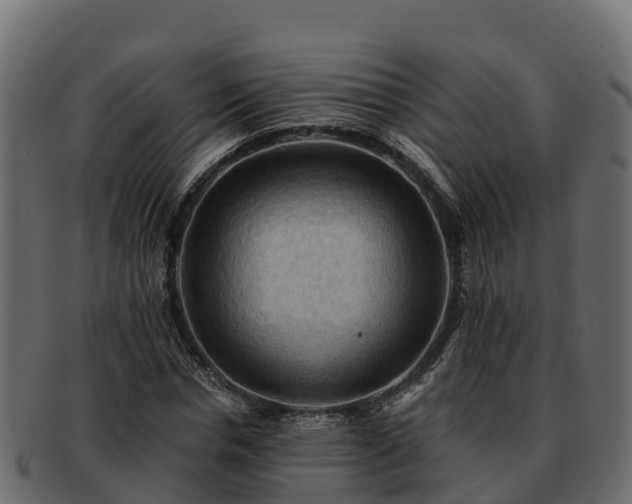 X0000092280826200710041409