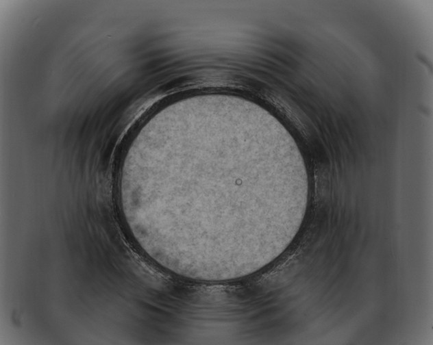 X0000092280828200710041409