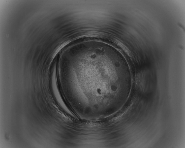 X0000092280829200710041409