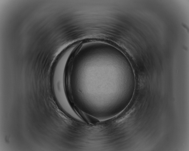 X0000092280830200710041409