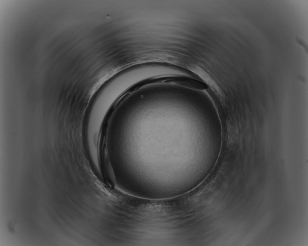 X0000092280834200710041409