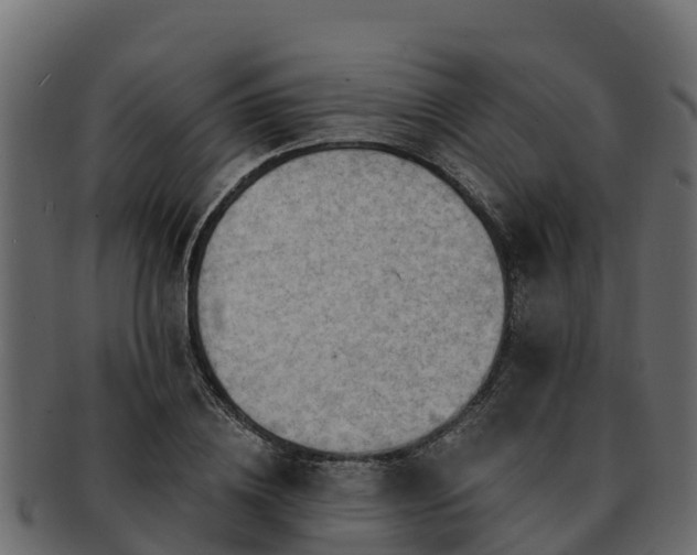 X0000092280836200710041409