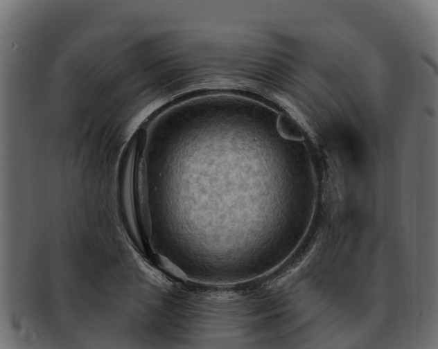 X0000092280837200710041409