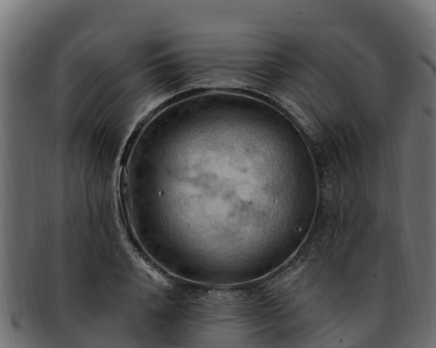 X0000092280840200710041409