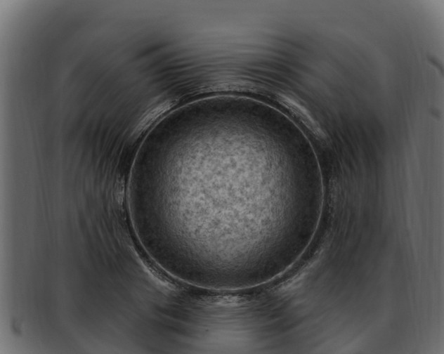 X0000092280841200710041409