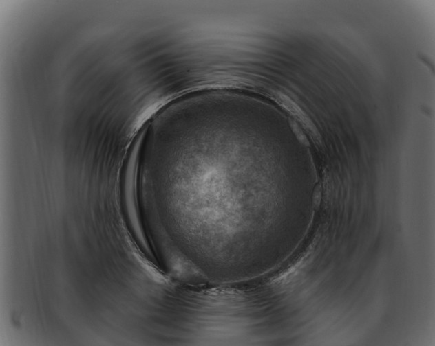 X0000092280842200710041409