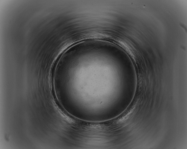 X0000092280843200710041409