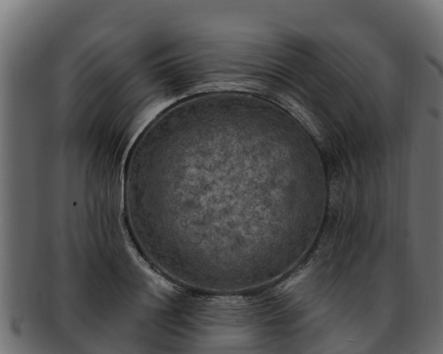 X0000092280844200710041409