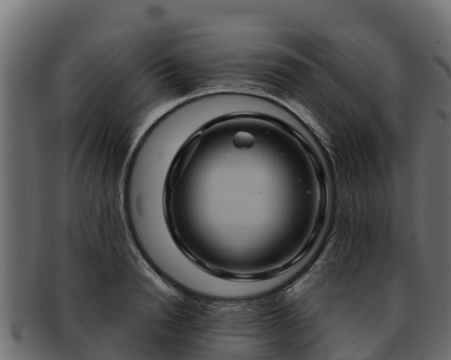 X0000092280846200710041409