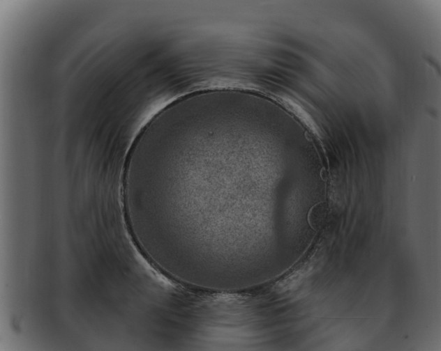 X0000092280847200710041409