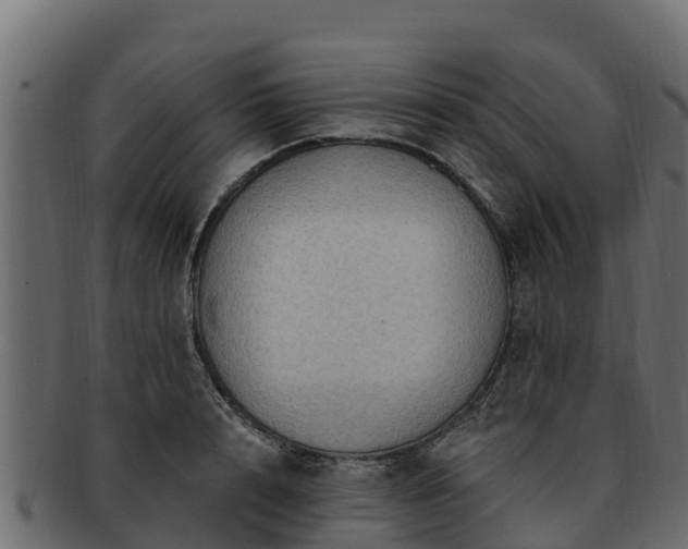 X0000092280848200710041409