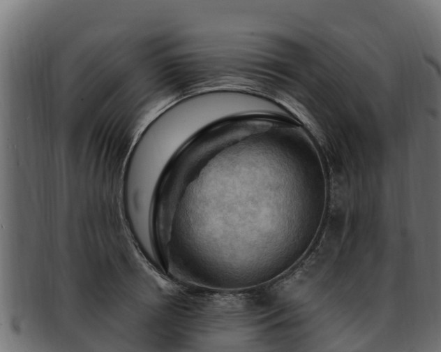 X0000092280850200710041409