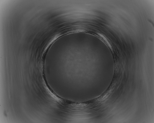 X0000092280851200710041409