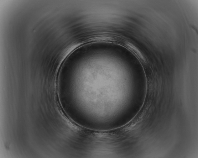 X0000092280852200710041409