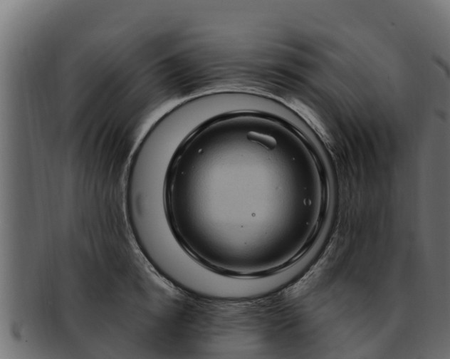 X0000092280854200710041409