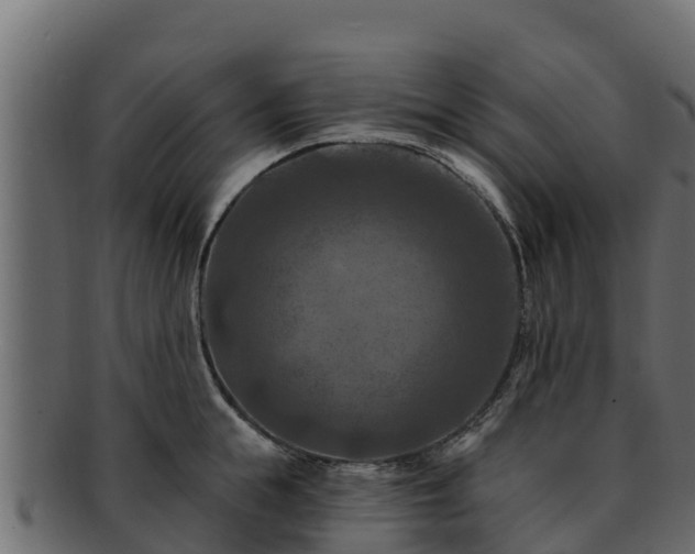 X0000092280855200710041409