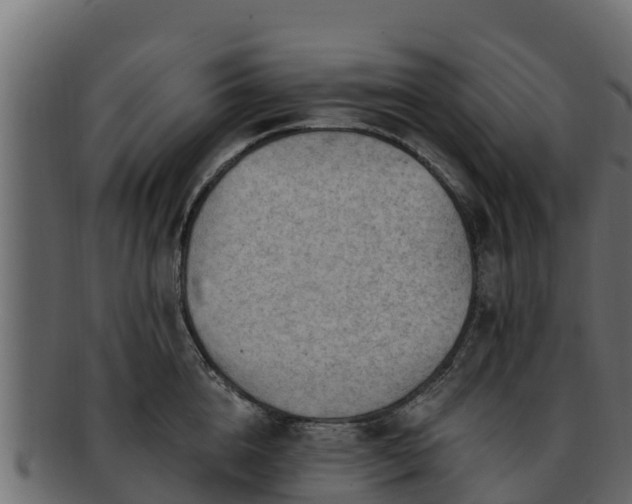 X0000092280856200710041409