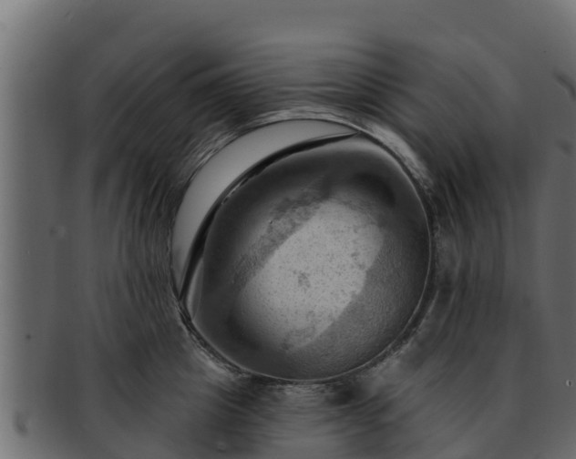 X0000092280857200710041409