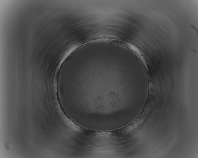 X0000092280859200710041409