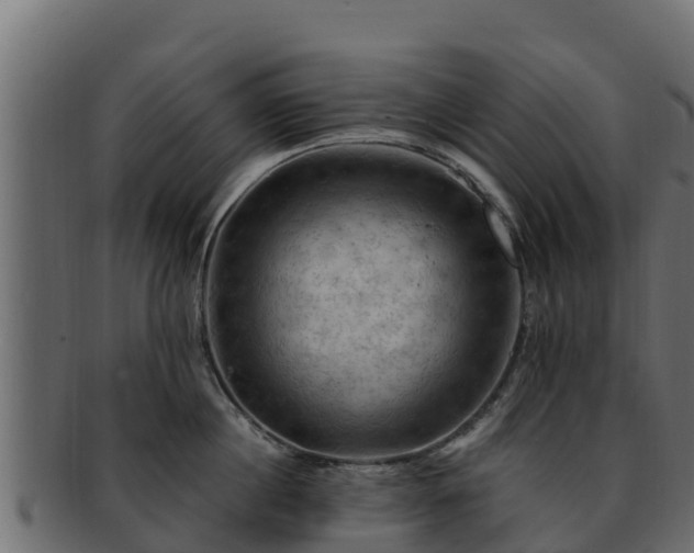 X0000092280860200710041409