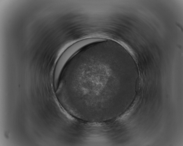 X0000092280862200710041409