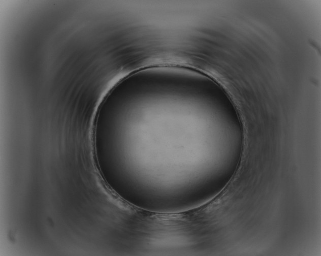 X0000092280864200710041409