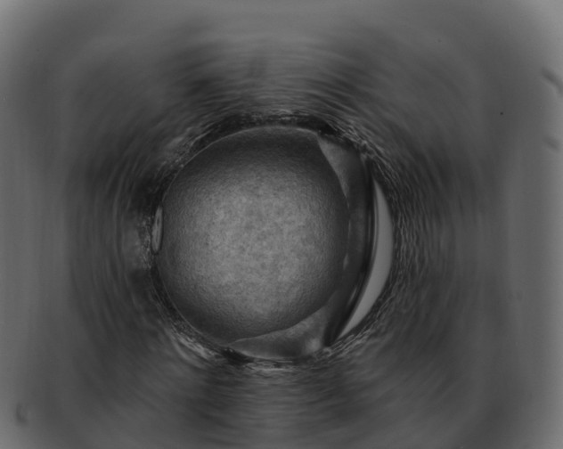 X0000092280868200710041409