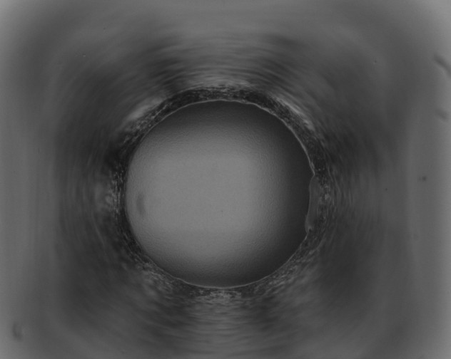 X0000092280869200710041409