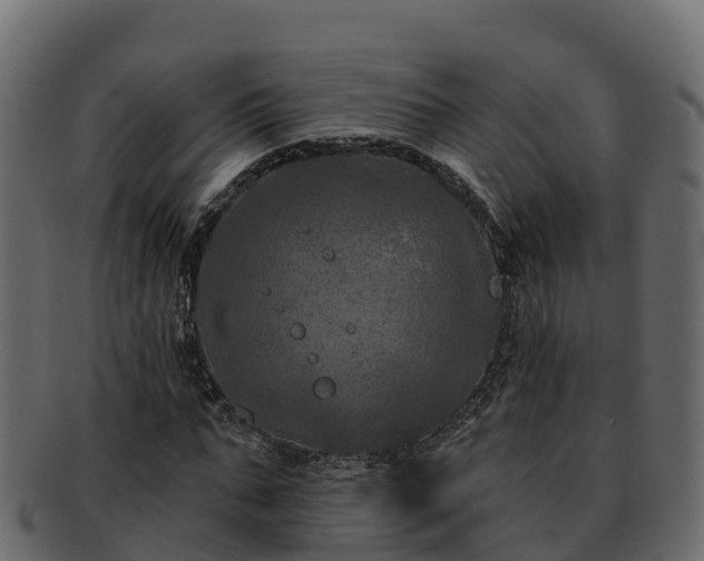 X0000092280871200710041409