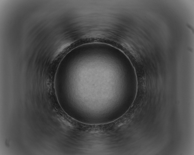 X0000092280872200710041409