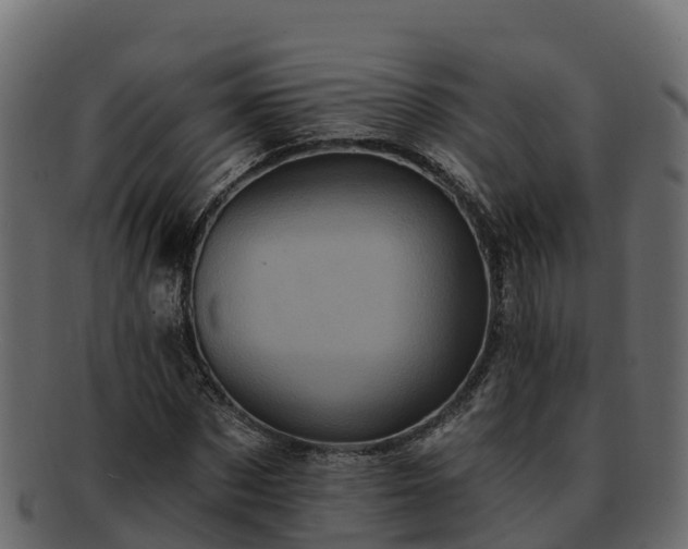 X0000092280873200710041409