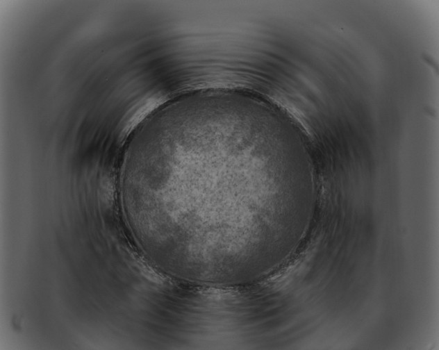 X0000092280874200710041409