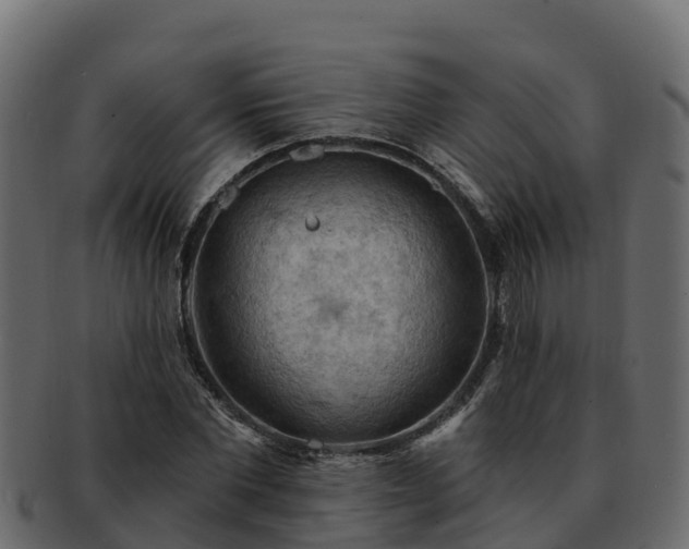 X0000092280877200710041409