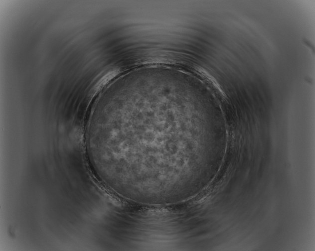 X0000092280882200710041409