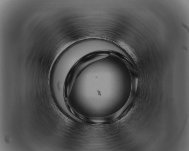 X0000092280884200710041409