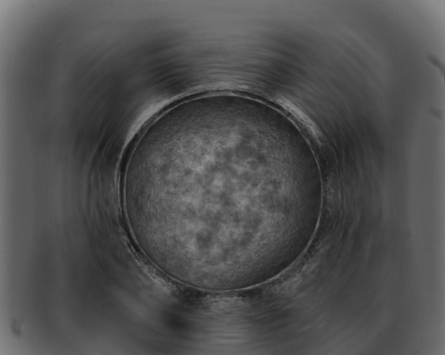 X0000092280886200710041409