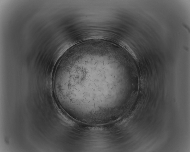 X0000092280890200710041409