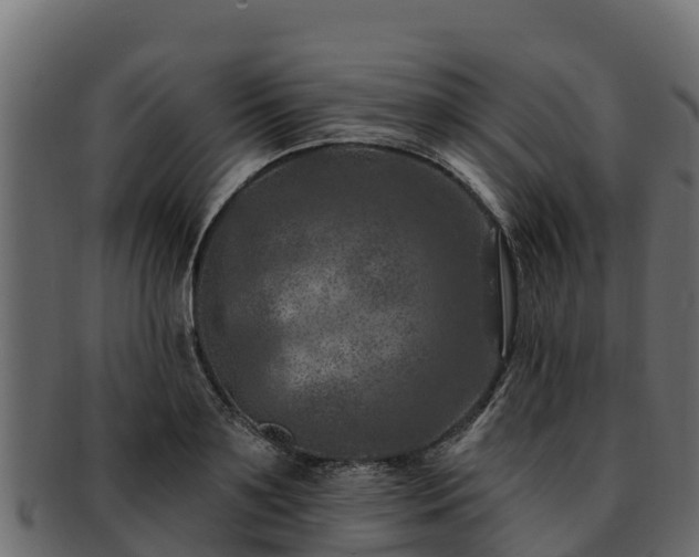 X0000092280891200710041409